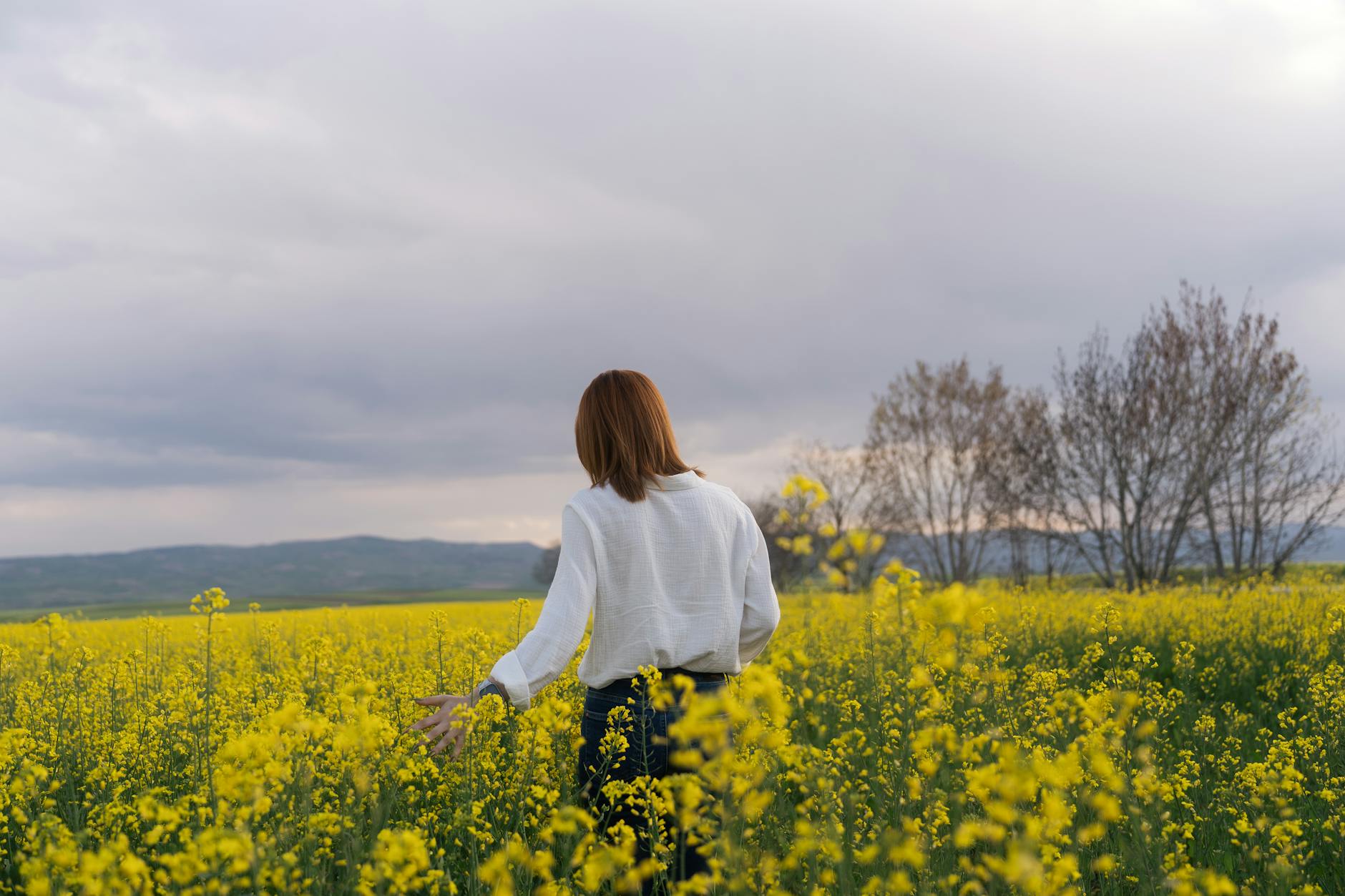 A woman enjoys a serene moment in a sprawling yellow flower field in Merzifon, Türkiye.