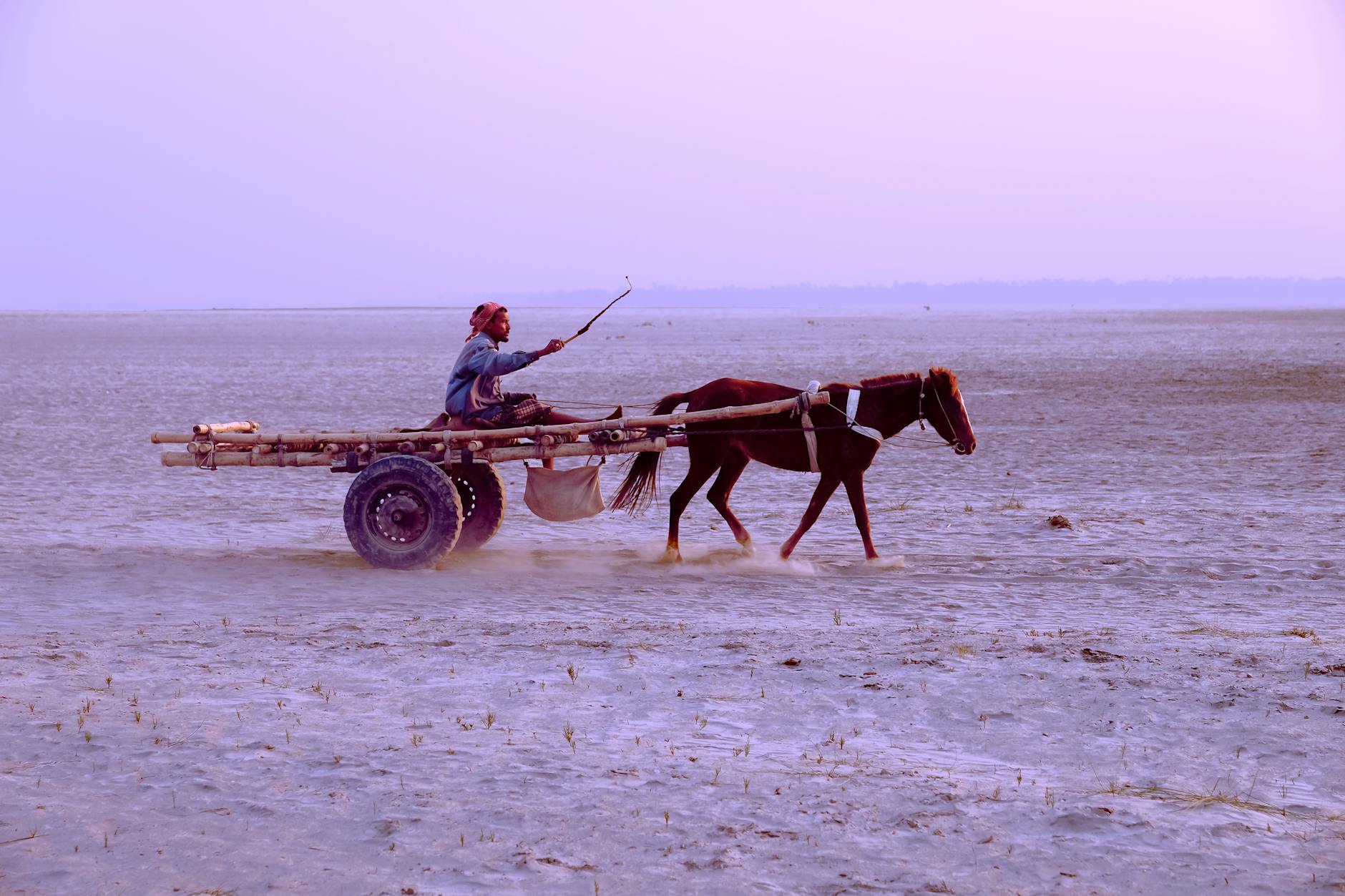 A man rides a horse-drawn cart across a dusty rural landscape during sunset.